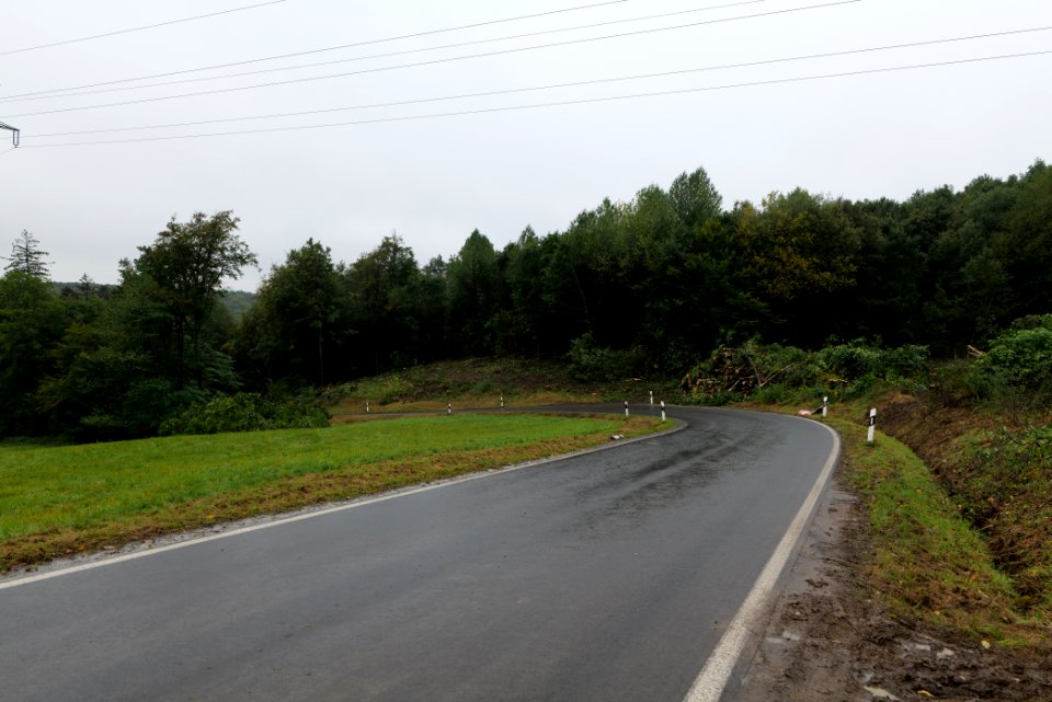 Maulbach forest after tree cuttings 2020-10-08 14