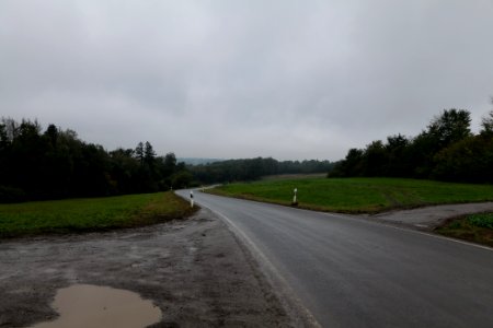 Maulbach forest 2020-10-08 52