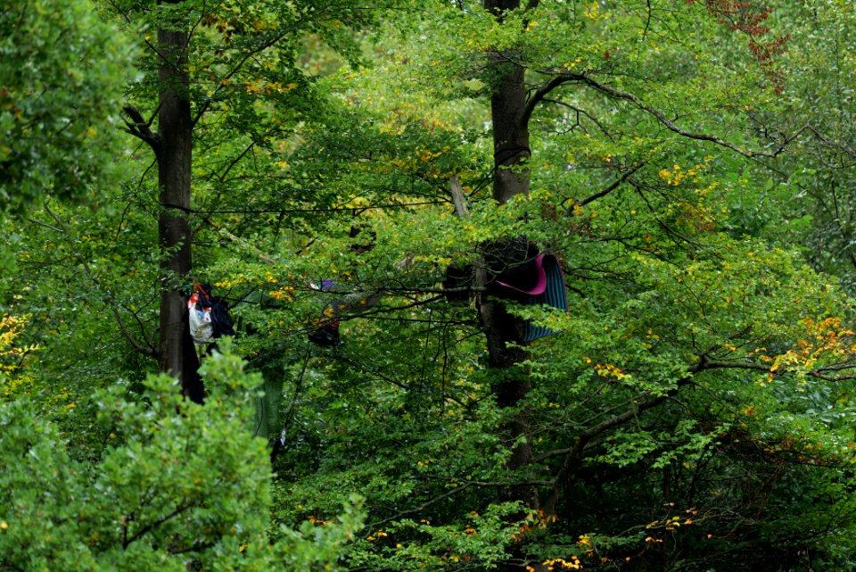 Maulbach forest blockades and protests 2020-10-06 39