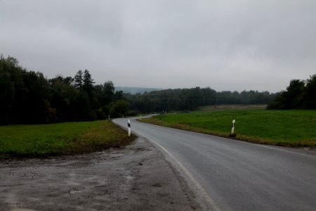 Maulbach forest 2020-10-08 51