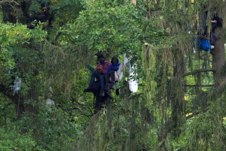 Maulbach forest blockades and protests 2020-10-06 18