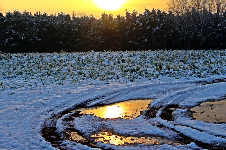 Evening light wintry snowy