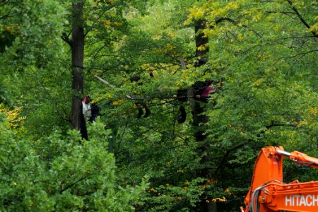 Maulbach forest blockades and protests 2020-10-06 16