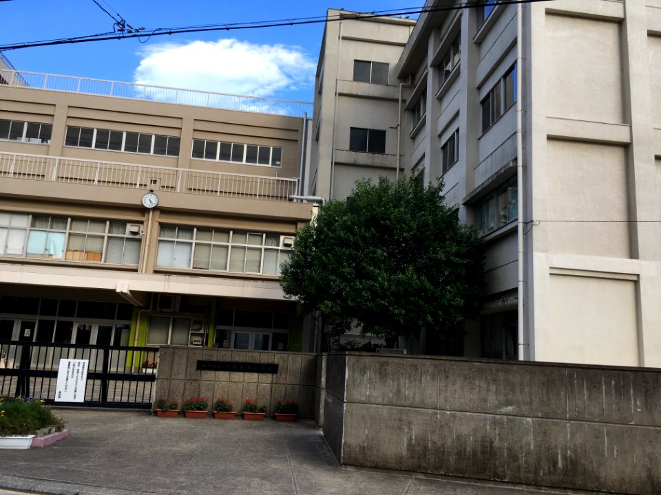 Matsudo mutsumi3 elementary school03