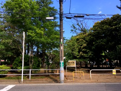 Matsudo Yamabuki koen