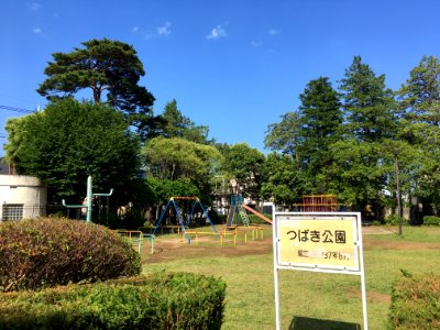 Matsudo Tsubaki koen