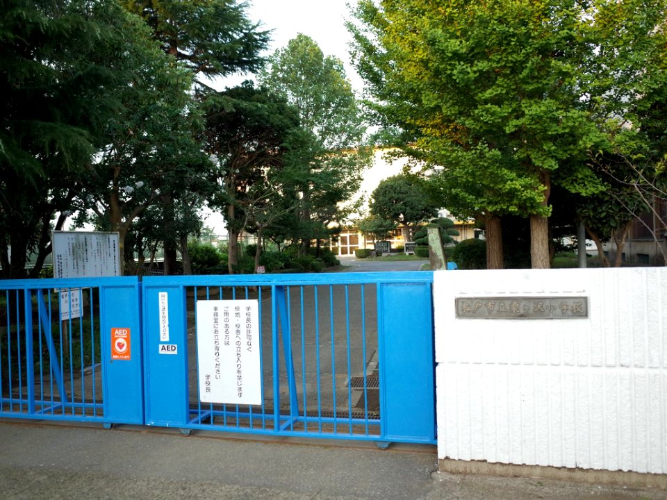 Matsudo kurigasawa elementary school01