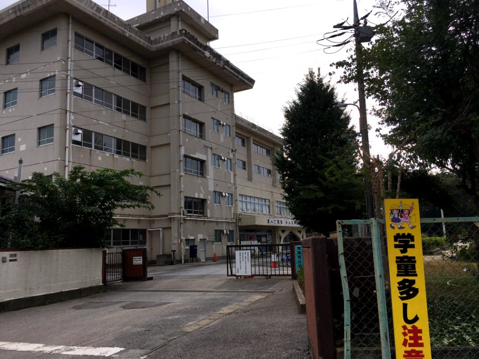 Matsudo kanegasaku elementary school06