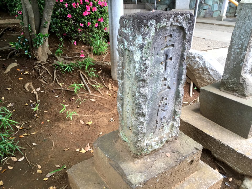 Matsudo kumanojinja 23ya-to