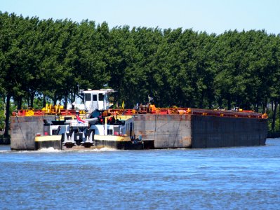 Matricaria- ENI 06003817 & Eurobulk503 - ENI 01830244 & Eurobulk 555, Amsterdam-Rijn kanaal, pic2