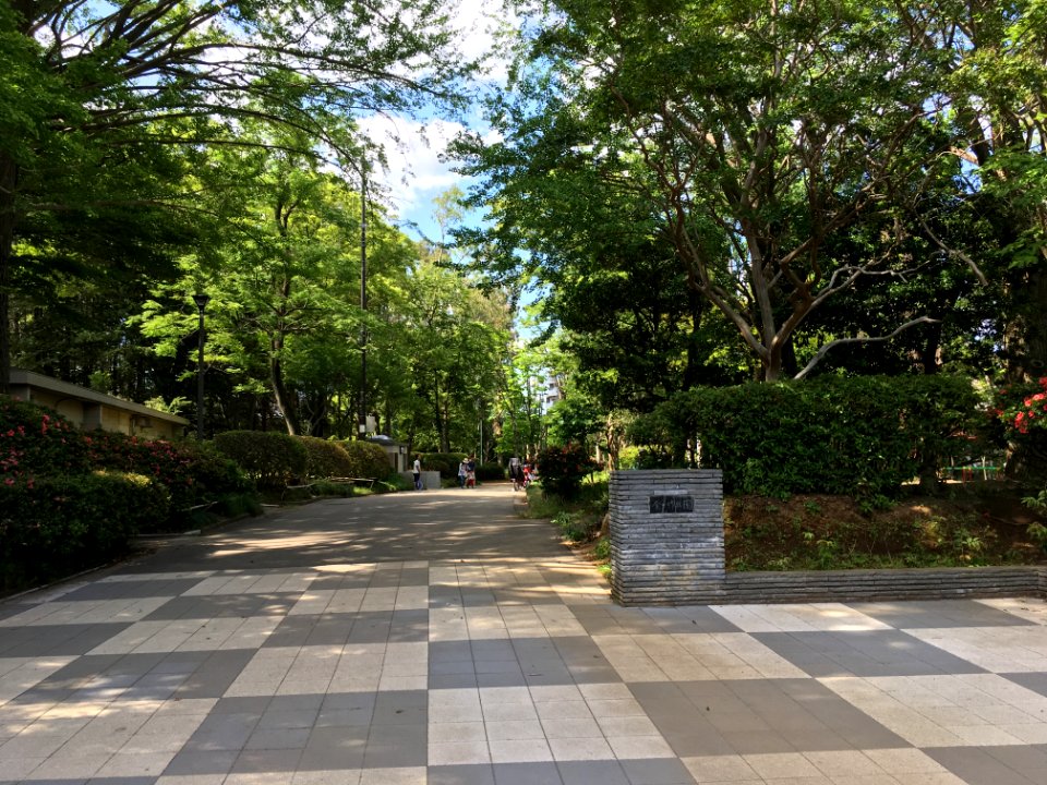 Matsudo Kanegasaku koen02