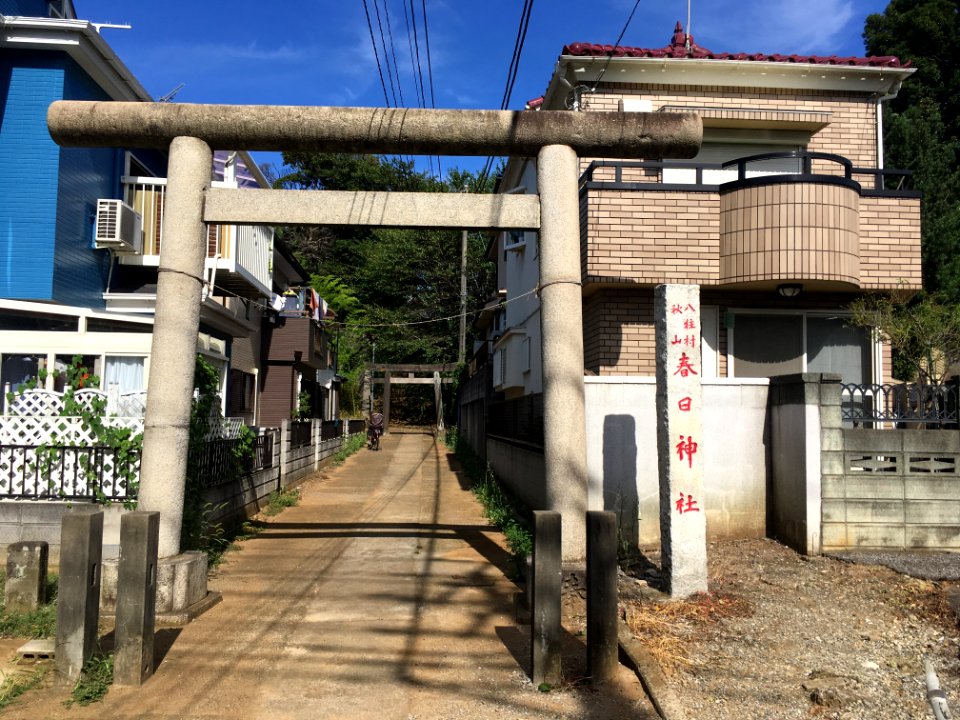 Matsudo kasuga jinja01