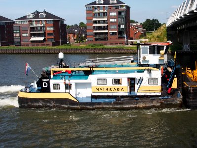 Matricaria - ENI 06003817, Amsterdam-Rijn kanaal pic2