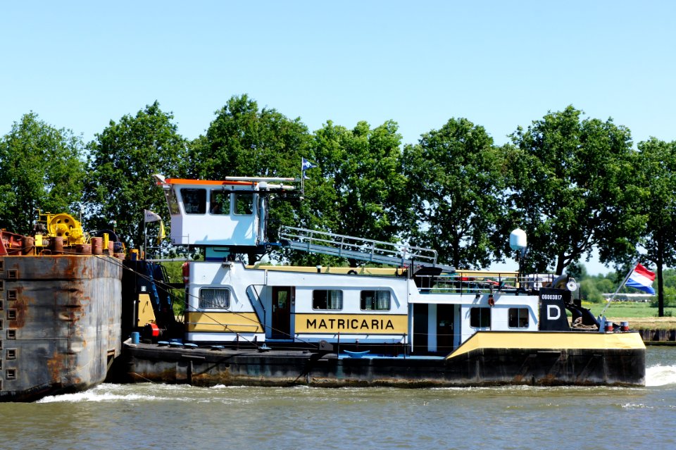 Matricaria- ENI 06003817, Amsterdam-Rijn kanaal, pic2