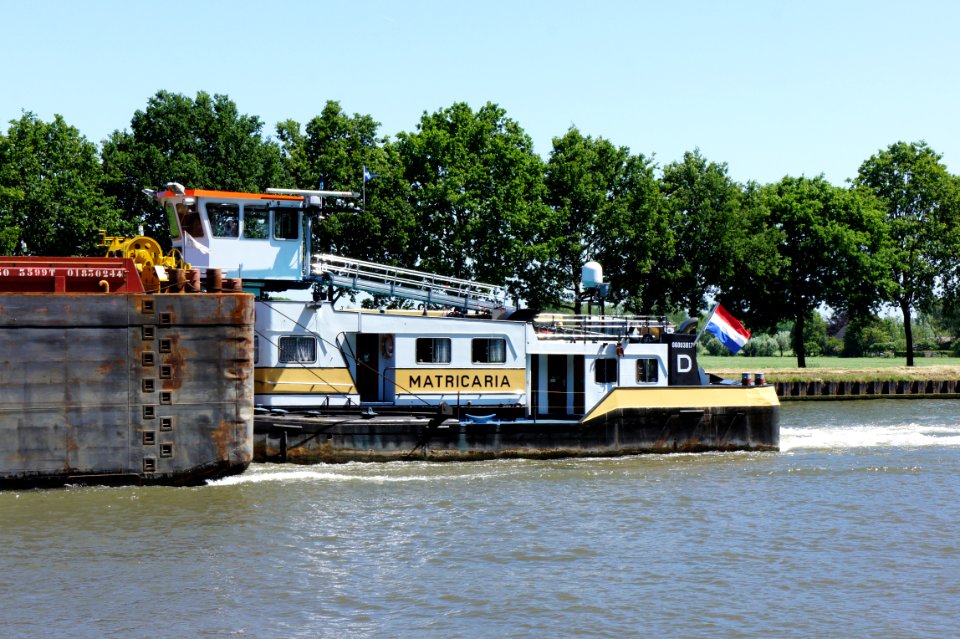 Matricaria- ENI 06003817, Amsterdam-Rijn kanaal, pic1