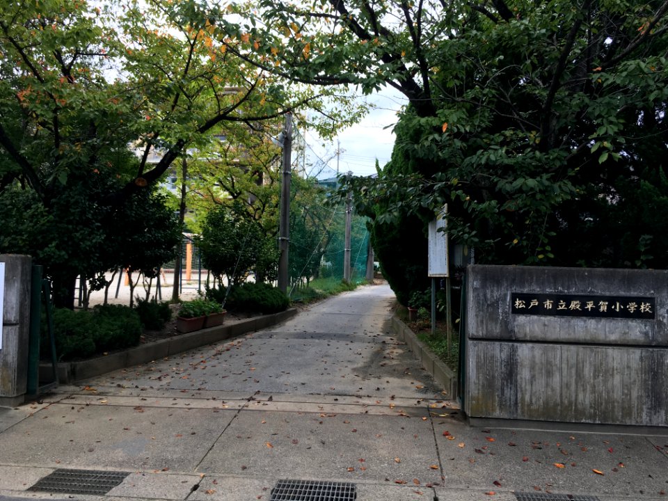 Matsudo tonohiraga elementary school04