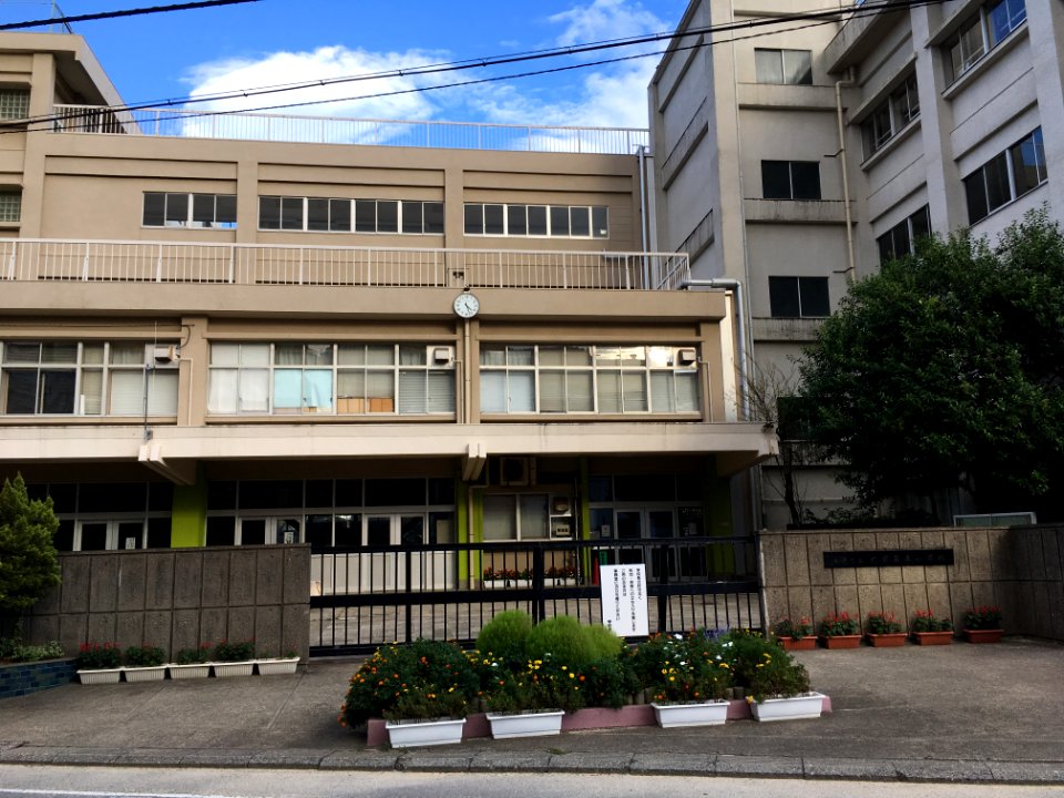 Matsudo mutsumi3 elementary school01