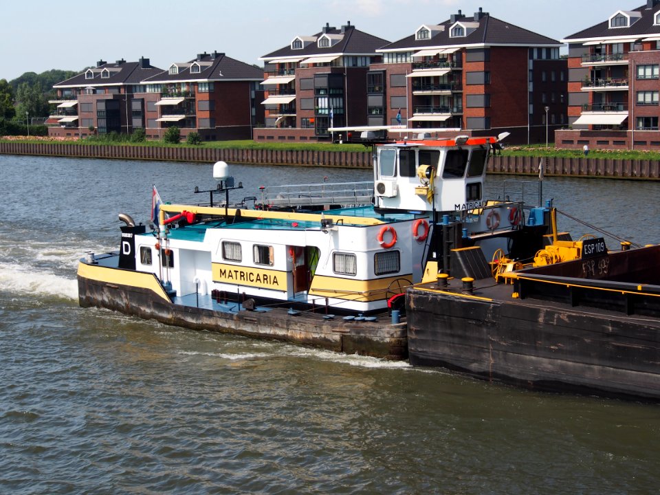 Matricaria - ENI 06003817, Amsterdam-Rijn kanaal pic1