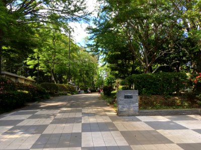 Matsudo Kanegasaku koen01