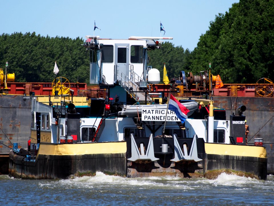 Matricaria- ENI 06003817, Amsterdam-Rijn kanaal, pic16
