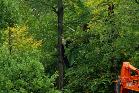 Maulbach forest blockades and protests 2020-10-06 13
