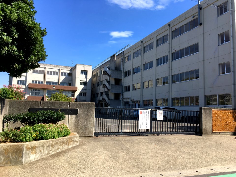 Matsudo kouya elementary school02