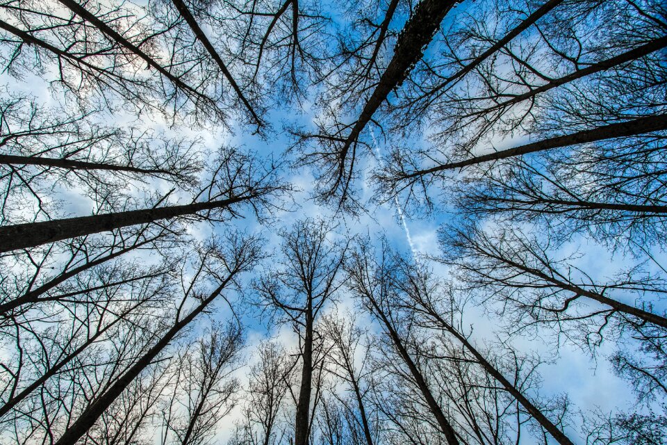 Sky nature england