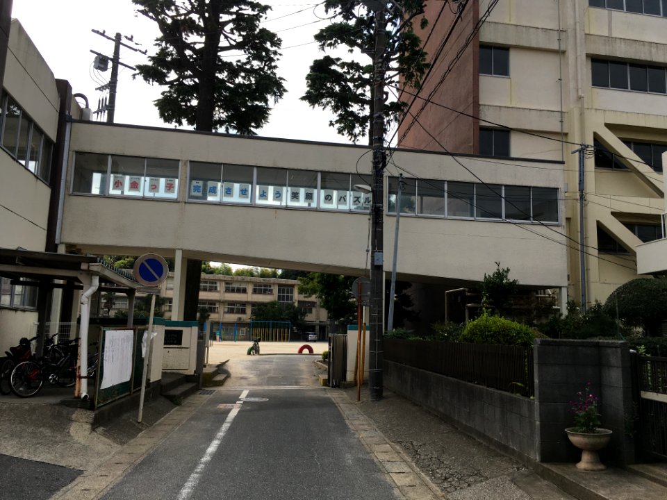 Matsudo kogane elementary school03