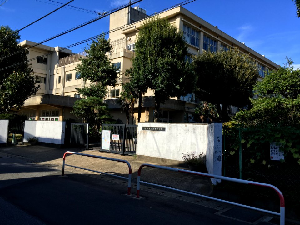 Matsudo mutsumi elementary school02