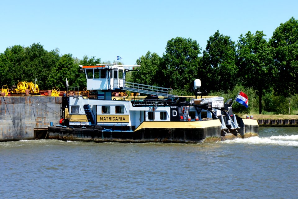 Matricaria- ENI 06003817, Amsterdam-Rijn kanaal, pic3