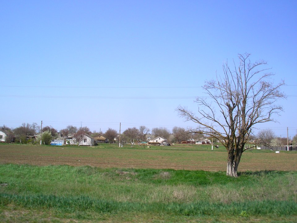 MatveevkaCr 8