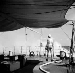 Matroos op Hr Ms Van Speijk, Bestanddeelnr 252-8534