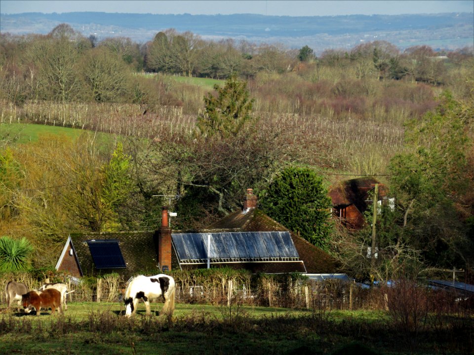 Matfield, Fields near Kippings Cross