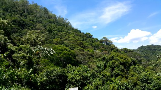 Mata Atlântica preservada em Paraibuna