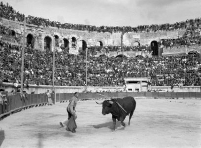 Matador Marcial Lalande bevecht stier, Bestanddeelnr 191-0422