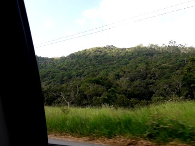 Mata Atlântica da BR-383