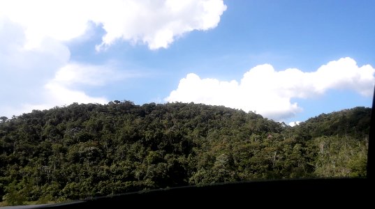 Mata atlântica da Rodovia dos Tamoios 1