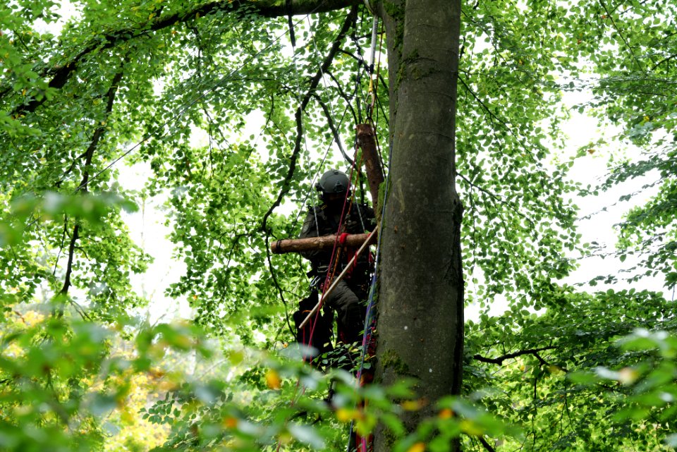 Maulbach forest blockades and protests 2020-10-05 49