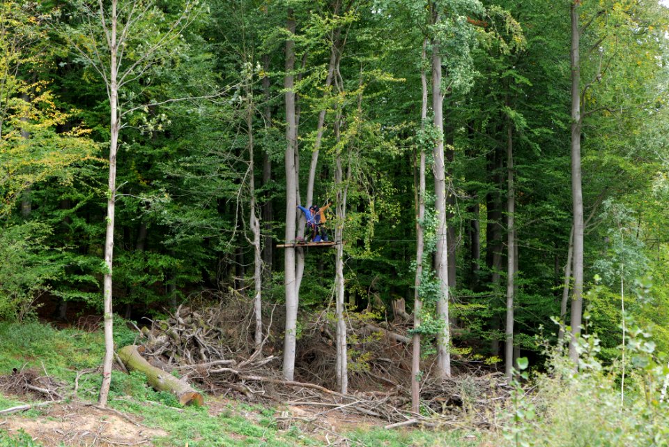 Maulbach forest blockades and protests 2020-10-05 05
