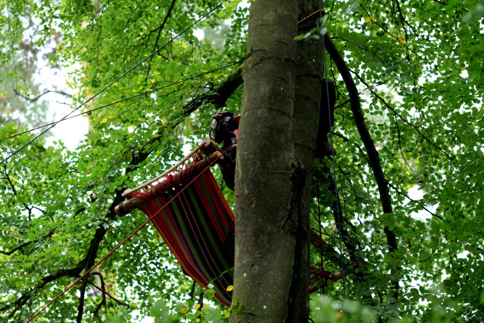Maulbach forest blockades and protests 2020-10-05 30