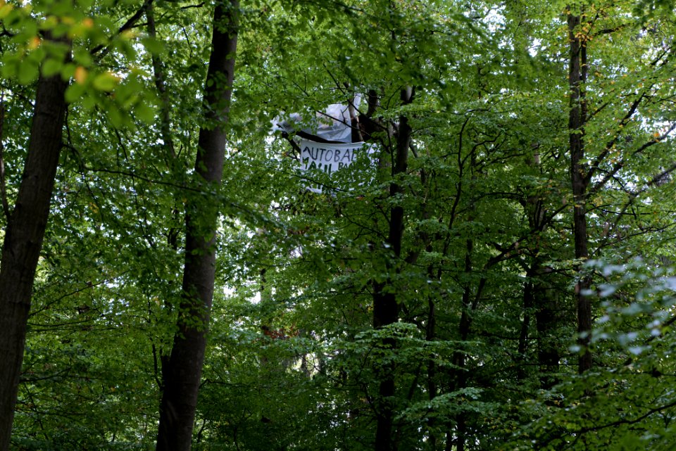 Maulbach forest blockades and protests 2020-10-05 80