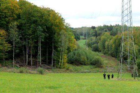 Maulbach forest blockades and protests 2020-10-05 01