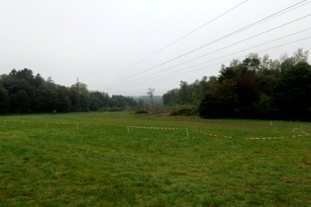 Maulbach forest after tree cuttings 2020-10-08 63