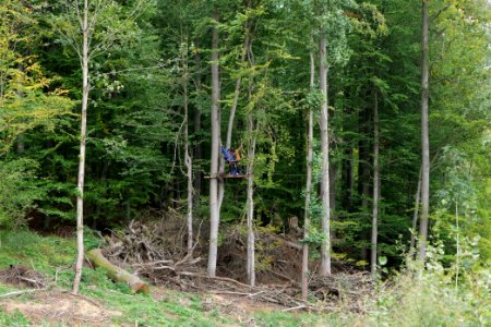 Maulbach forest blockades and protests 2020-10-05 06