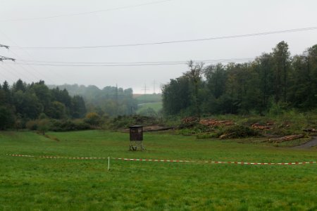 Maulbach forest after tree cuttings 2020-10-08 60