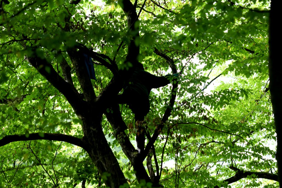 Maulbach forest blockades and protests 2020-10-05 51