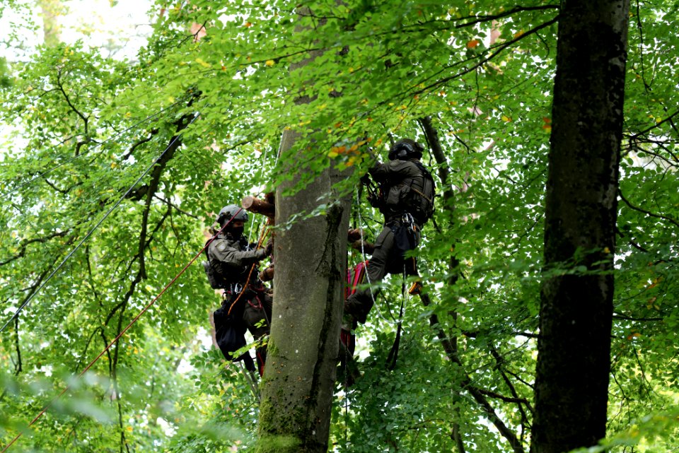 Maulbach forest blockades and protests 2020-10-05 46