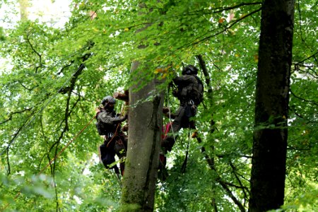 Maulbach forest blockades and protests 2020-10-05 46