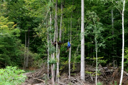 Maulbach forest blockades and protests 2020-10-05 10
