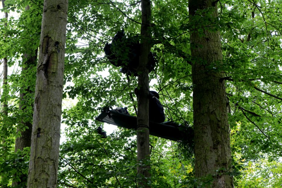 Maulbach forest blockades and protests 2020-10-05 11